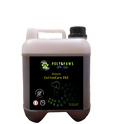 CottonCare PRO Shampoo