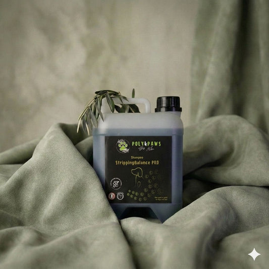 Shampoo StrippingBalance PRO